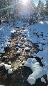 First snow of Winter 2021 creek