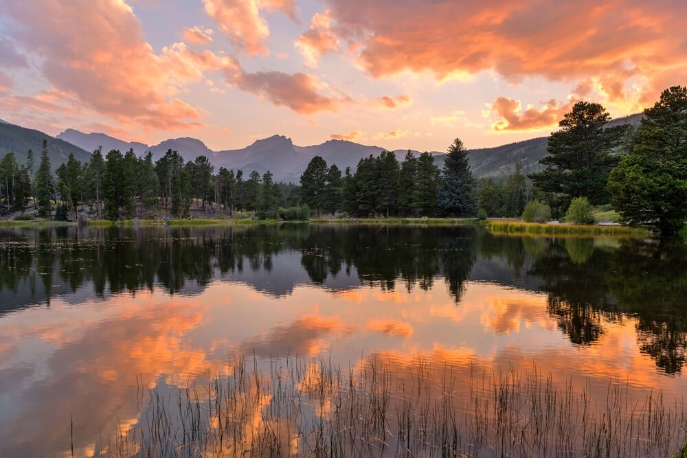 A scenic view on an easy hike in Rocky Mountain National Park